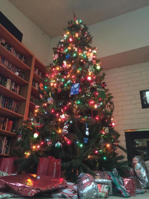 File Dec 24, 22 00 19 small