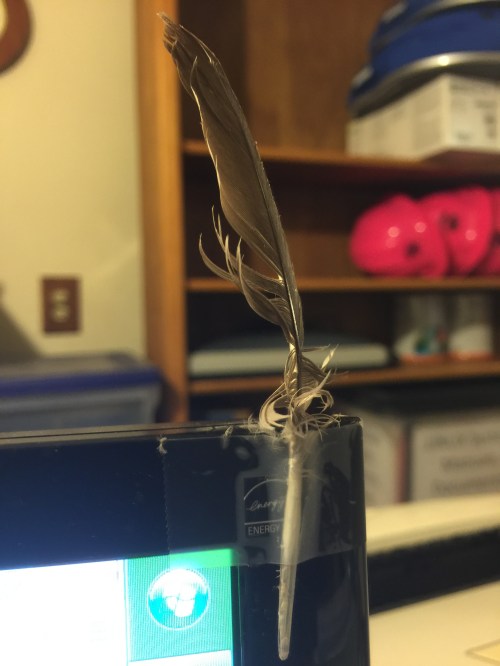 File Jan 31, 22 57 10