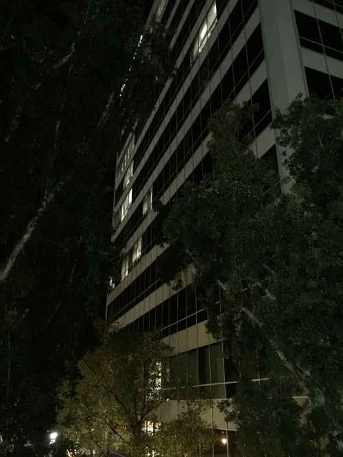 File Feb 05, 23 38 22 small