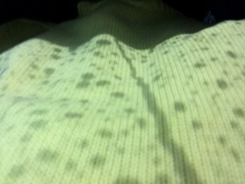 File Feb 17, 22 54 00