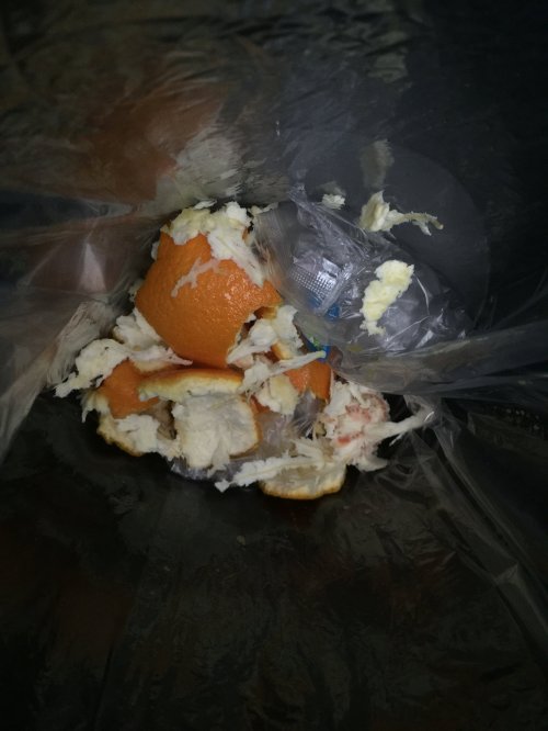 IMG_008714_2015-05-11-iPhone6 small