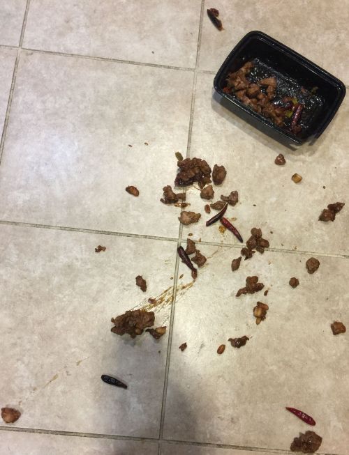 File Mar 16, 20 23 10 small