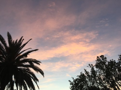 File Apr 05, 22 15 00 small