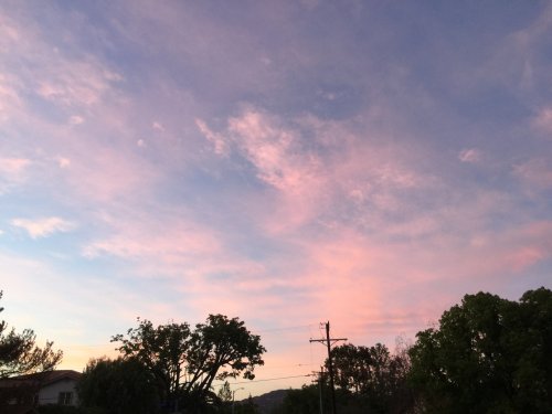 File Apr 05, 22 15 37 small