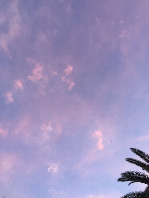 File Apr 05, 22 16 26 small