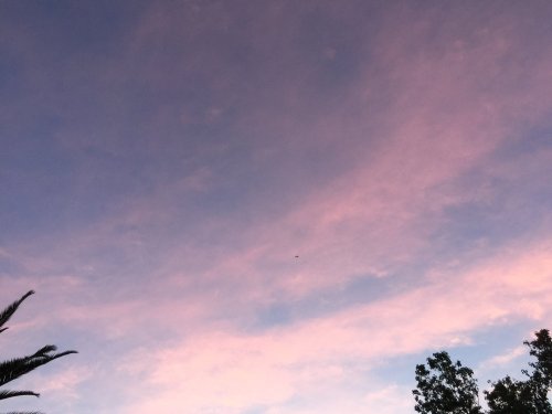 File Apr 05, 22 17 09 small