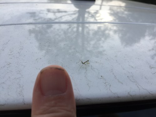 File Apr 06, 21 58 18 small