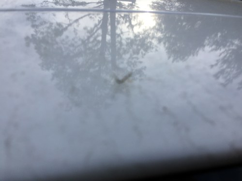 File Apr 06, 22 00 35 small