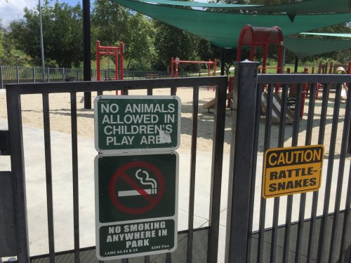 File Apr 11, 21 09 52 small