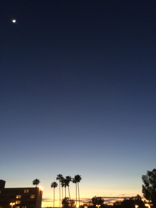 File Apr 12, 22 38 44 small