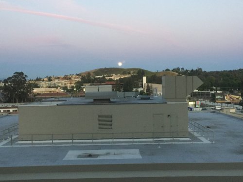 File Apr 21, 22 13 24 small