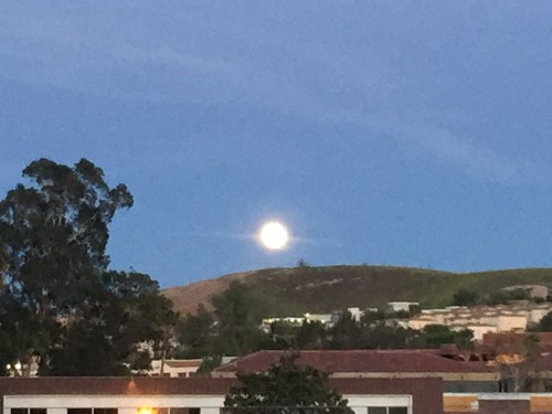 File Apr 21, 22 16 24