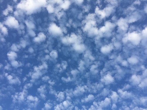 File May 04, 21 26 22 small