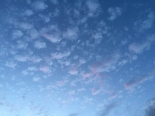 File May 04, 21 29 46 small