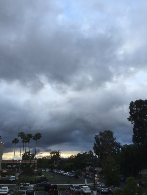 File May 06, 19 40 31 small