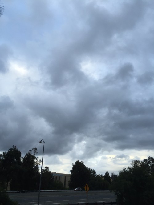 File May 06, 19 41 36 small