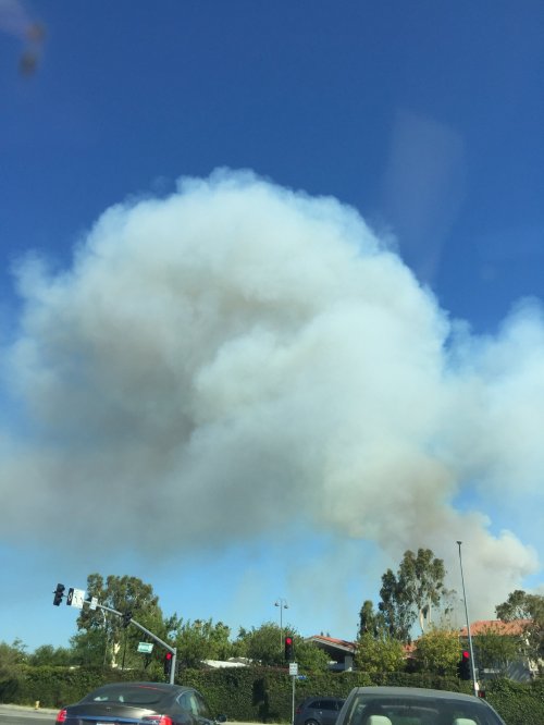 File Jun 04, 17 12 03 small