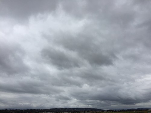 File Jun 12, 23 55 07