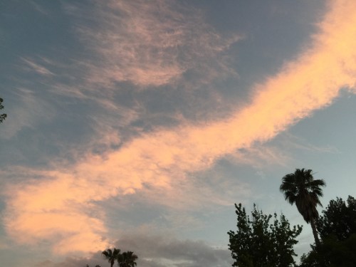 File Jun 27, 23 32 38