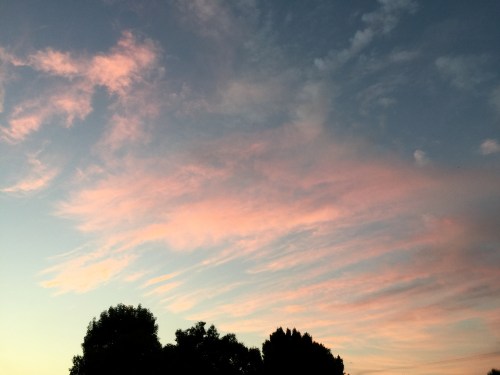 File Jun 27, 23 33 11