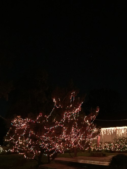 file-nov-27-22-34-22