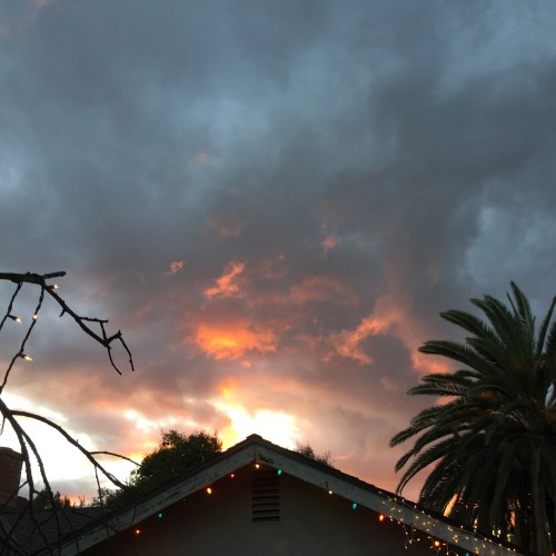 file-nov-28-22-49-19-small