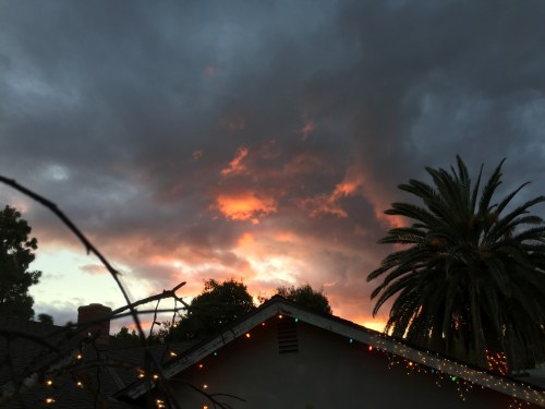 file-nov-28-22-50-31-small