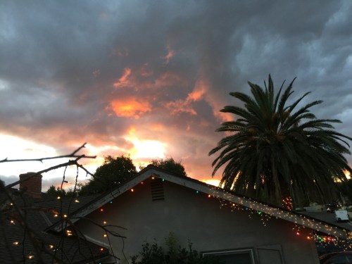 file-nov-28-22-50-53-small